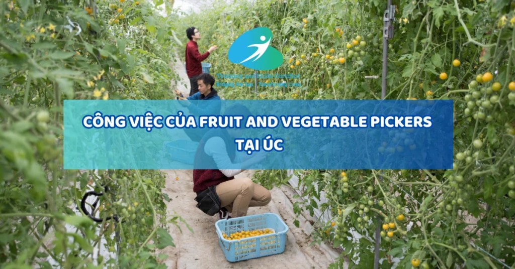 Công Việc Của Fruit and Vegetable Pickers Tại Úc