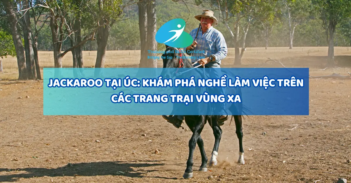 Jackaroo Tại Úc: Khám Phá Nghề Làm Việc Trên Các Trang Trại Vùng Xa